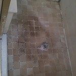 Photo - Mold Damaged Green Board